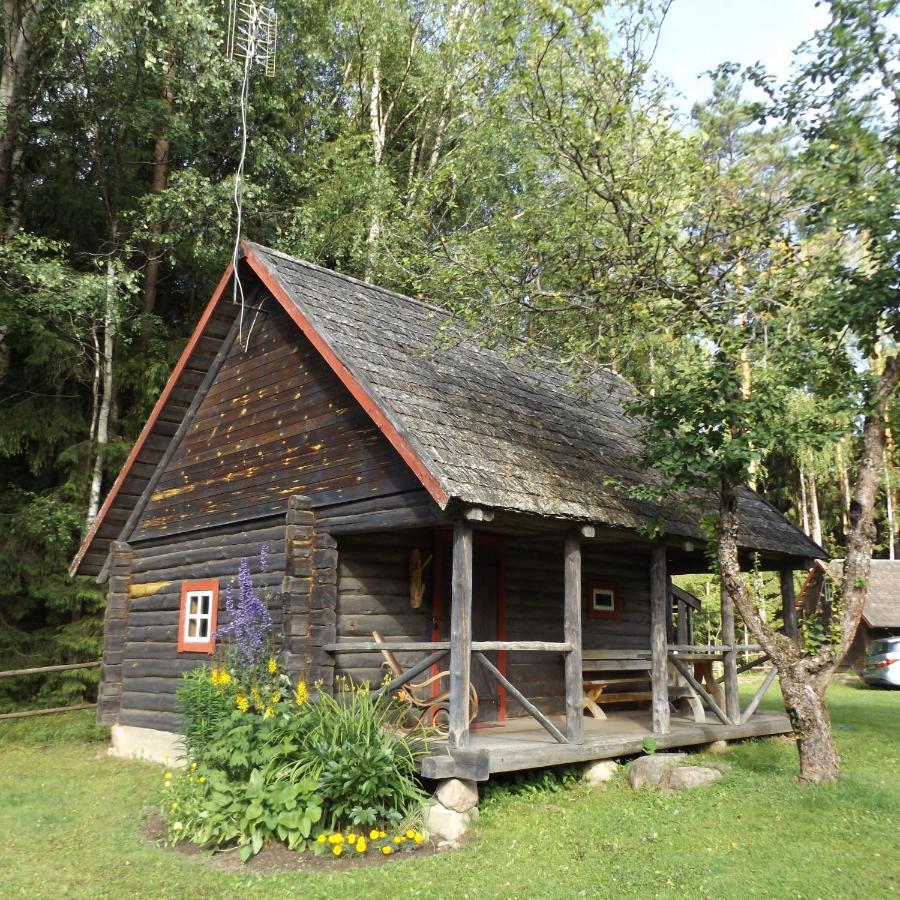 Hostal Labanoro Pasaka - Elenutes Namai Berniunai Exterior foto